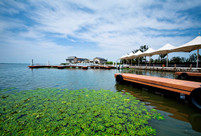 巨人網(wǎng)絡(luò)11年游陽澄湖、沙家浜