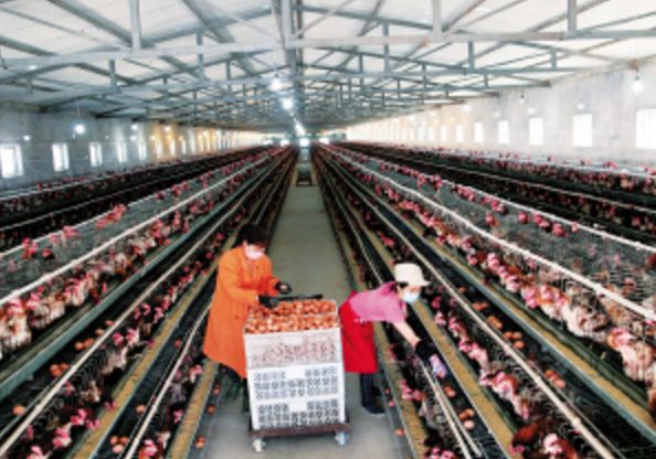 1550228983930476.jpg timg (5).jpg