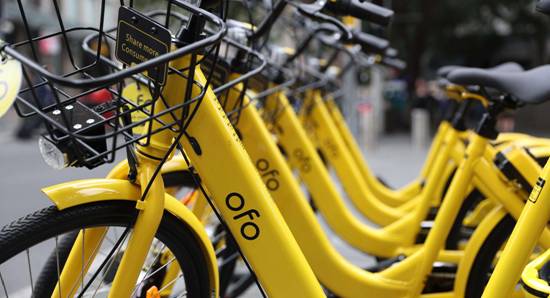 1534140930124138.jpg image013.jpg