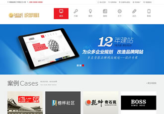 大氣互聯(lián)網(wǎng)服務(wù)機構(gòu)類企業(yè)公司織夢模板(帶wap