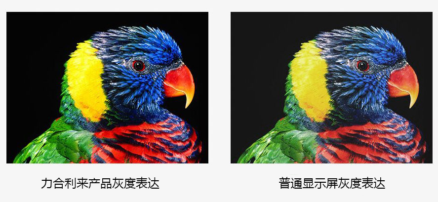 P1.2小間距l(xiāng)ed顯示屏 P1.2小間距l(xiāng)ed顯示屏