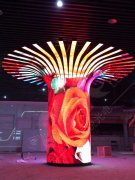 樹形led顯示屏項(xiàng)目在福建晉江25平方