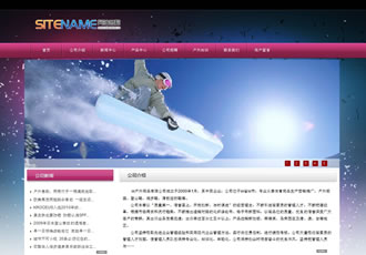 戶外運(yùn)動滑雪運(yùn)動通用網(wǎng)站建站模板