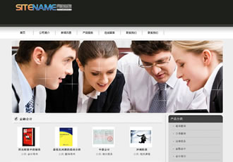 財務(wù)會計公司法律咨詢企業(yè)建站模板