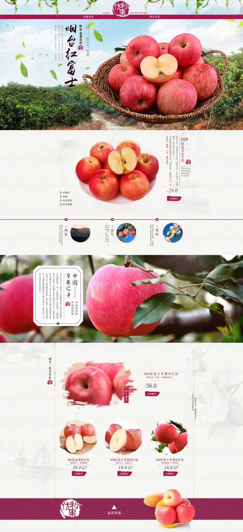 煙臺(tái)紅富士蘋果水果裝修模板
