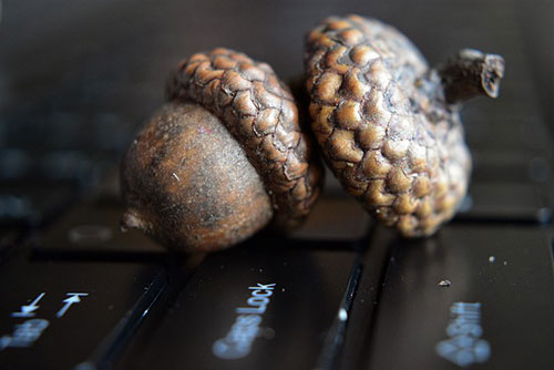 高頻撥號(hào)對(duì)于電銷(xiāo)工作的影響大嗎？電銷(xiāo)防封系統(tǒng)